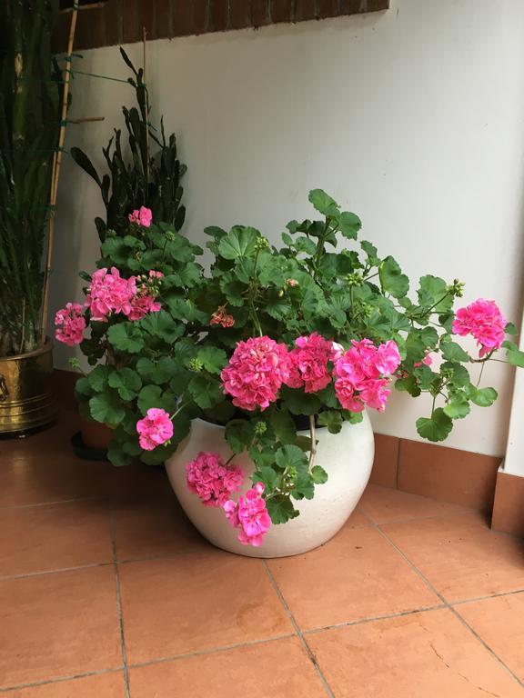 Agriturismo Da Ninoti Treviso Eksteriør bilde